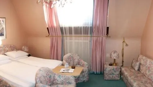 Hotel Schweizerhof Vienna 3*,